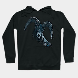 Ram Hoodie